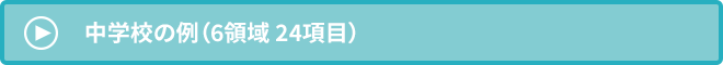 中学校の例（6領域 24項目）