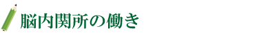 脳内関所の働き