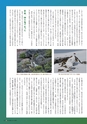 季刊理想　Vol.120