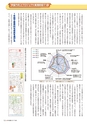 季刊理想　Vol.125