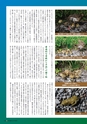 季刊理想　Vol.127